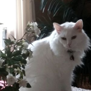 Make my mom an offer!